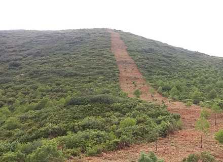 Estudio de Impacto Ambiental